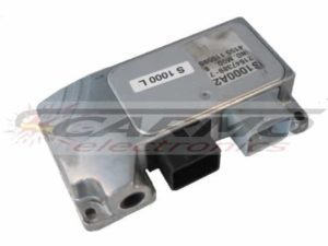 Aprilia-Caponord-ECU