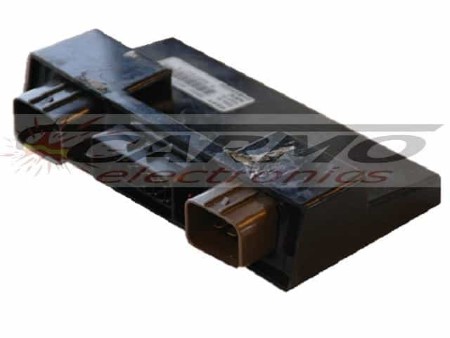 www.ecurepair.com.au